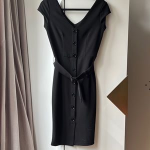 Express Fitted Dress
